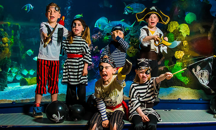 Watch as your children's faces light up with amazement at Sea Life Charlotte-Concord