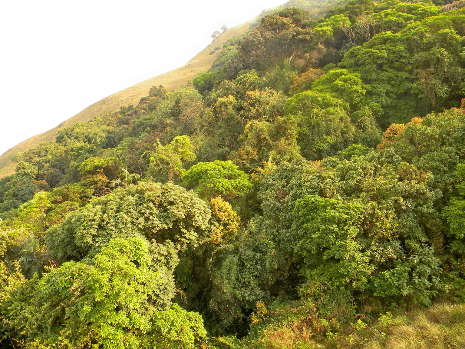 Photo from Giriraaj Marar's trip