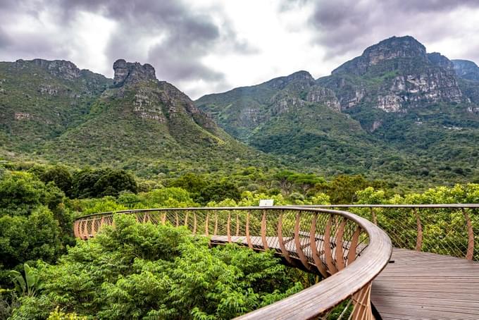 Kirstenbosch National Botanical Gardens Cape Town