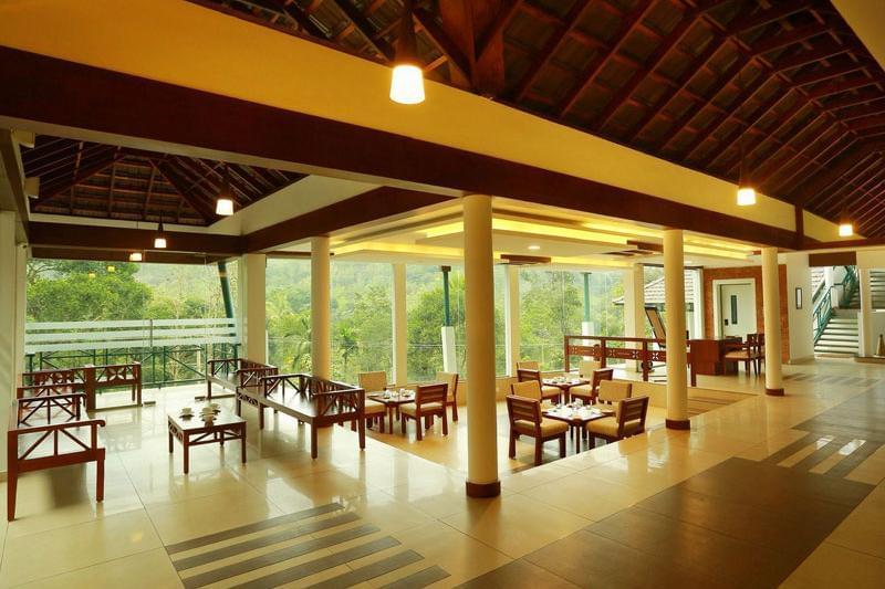 Forest Canopy Thekkady Image