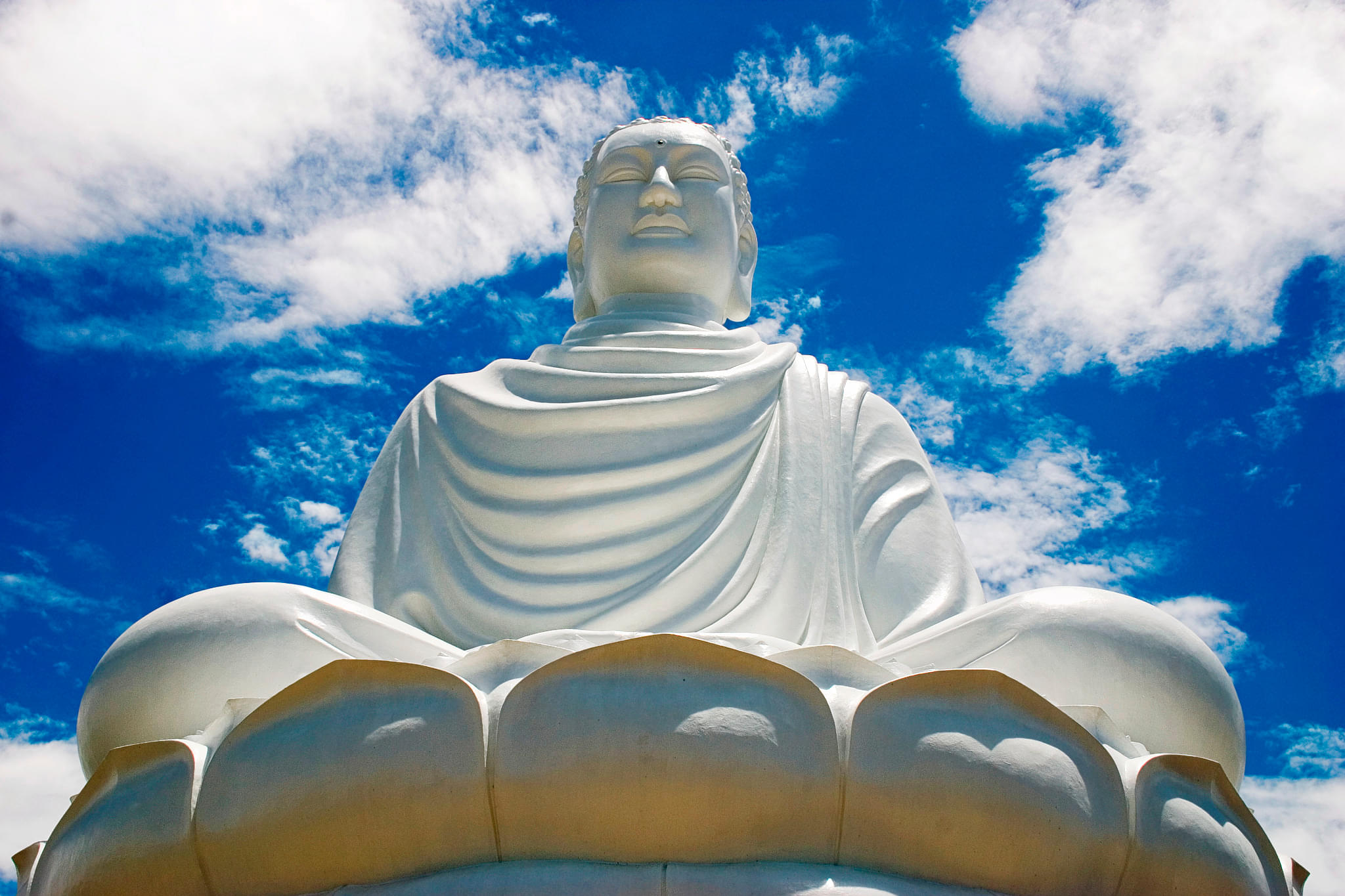 Lady Buddha Overview
