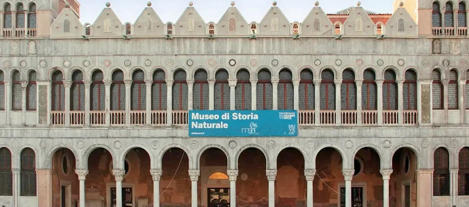 Venice Museum Pass Image