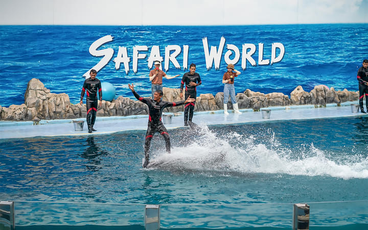 3zcahrcciono7m24vj5u62jqj9rg safari%20world gallery 1