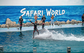 Safari World Bangkok Tickets