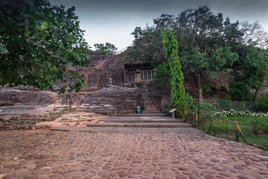 Pachmarhi Sightseeing Tour From Bhopal Image