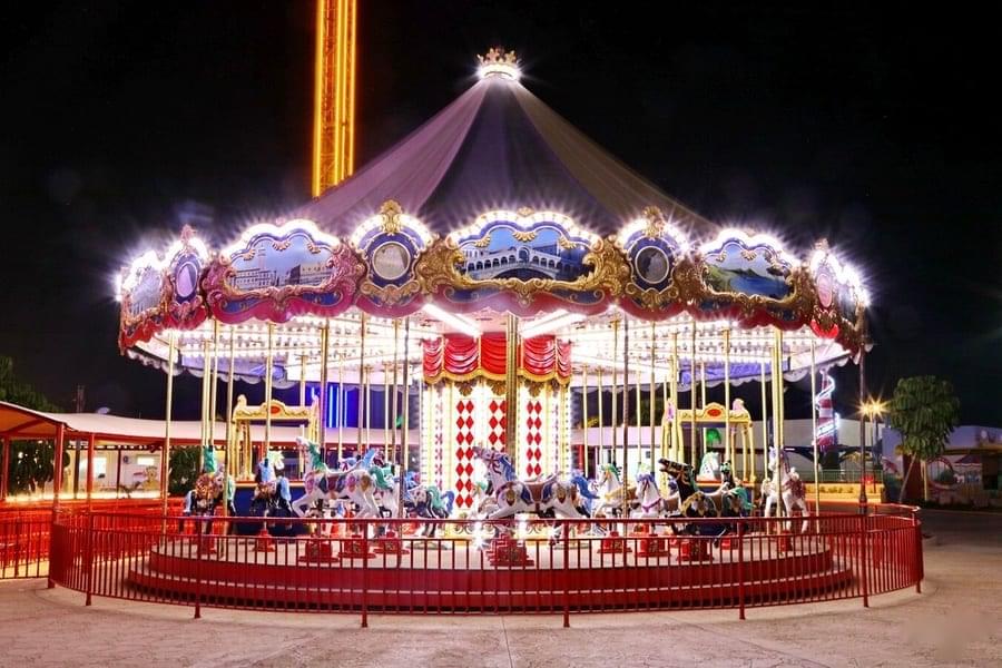 Enjoy a carousel with your companions