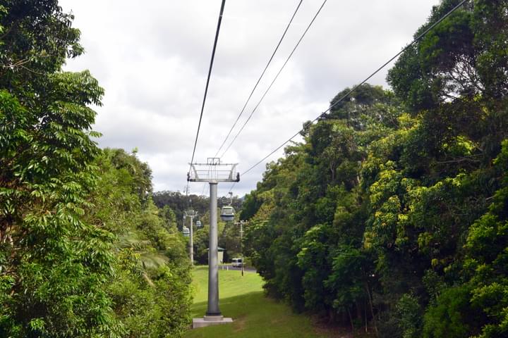 Skyrail Rainforest Cableway Tickets