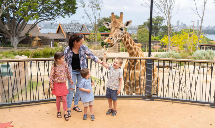 Visit one of the renowned zoos, Taronga Zoo in New South Wales