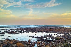 40uxuyn0oe1syt72h66imnxzion9 1591107185 shutterstock 1472926433