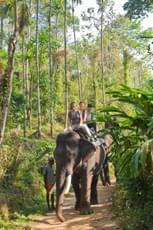 40x1hexrn6s3e63awjbyc4yistu7 downpic.cc 52572189