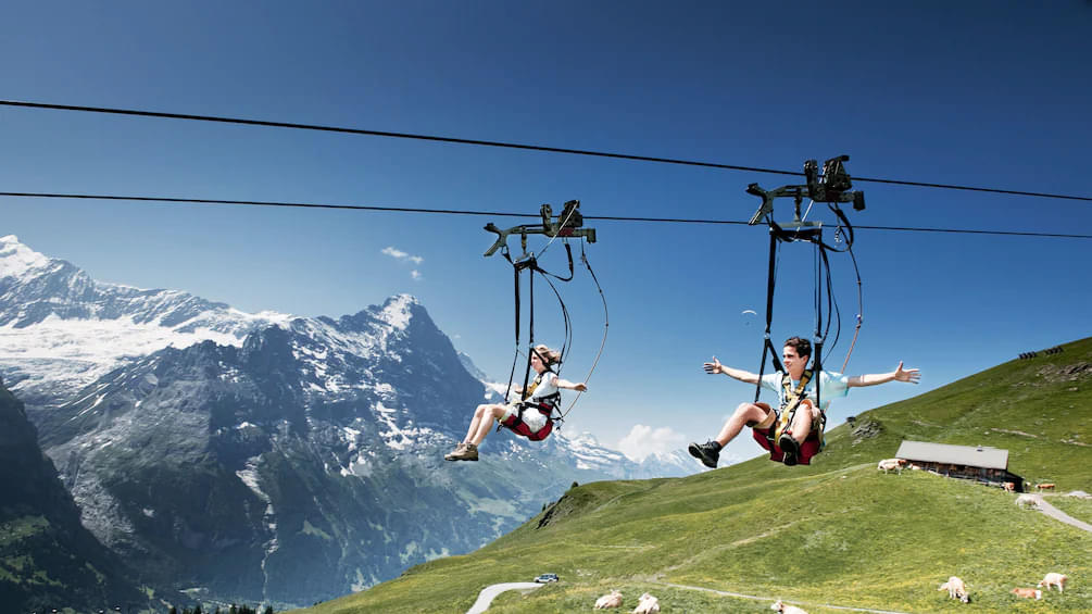 Experience the zip lining activity at the speed of 84km per hour