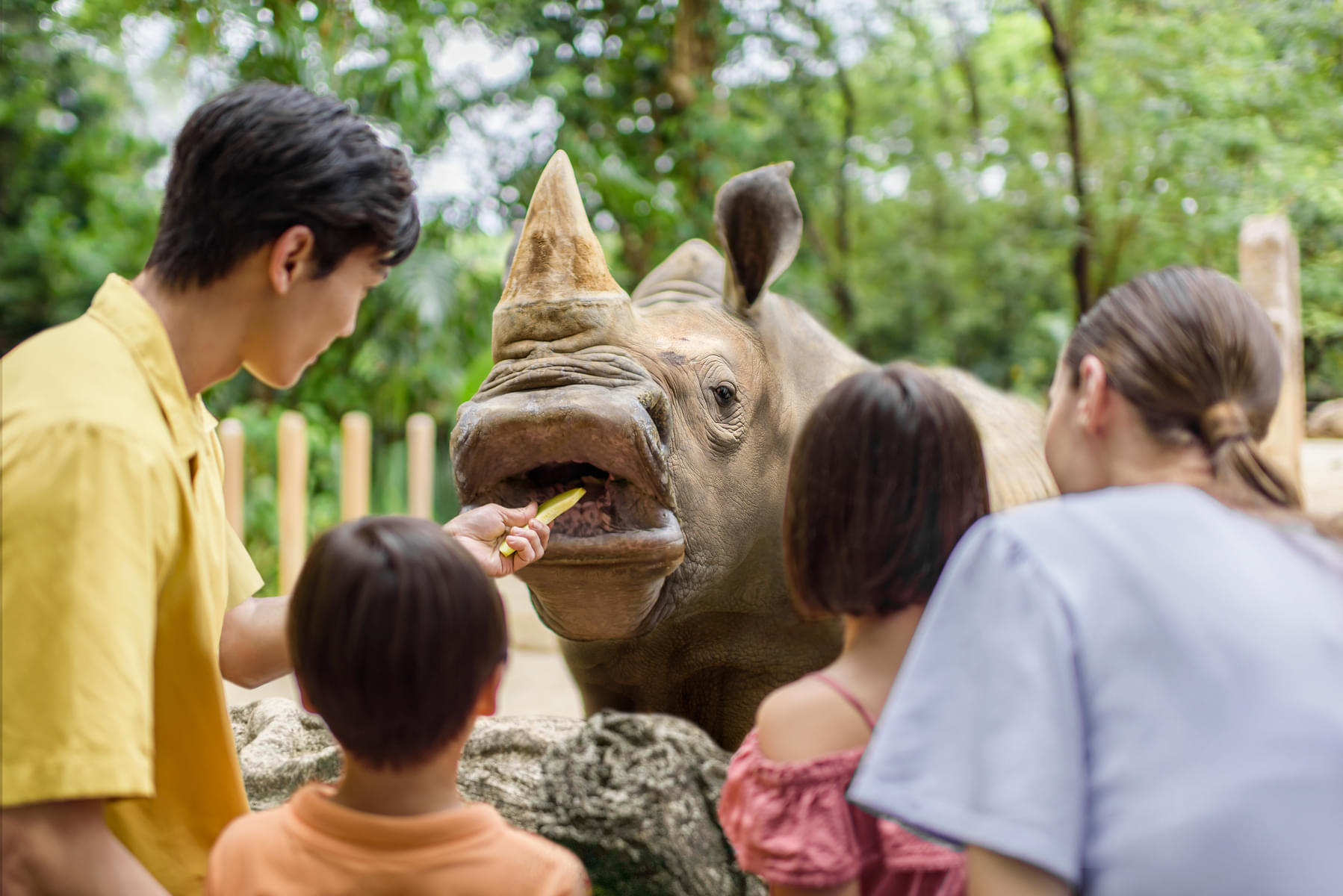 Have an amazing interactive experience feeding rhinoceros 