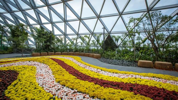 Jewel Changi Canopy Park