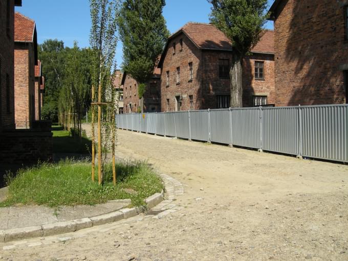 Auschwitz Tours