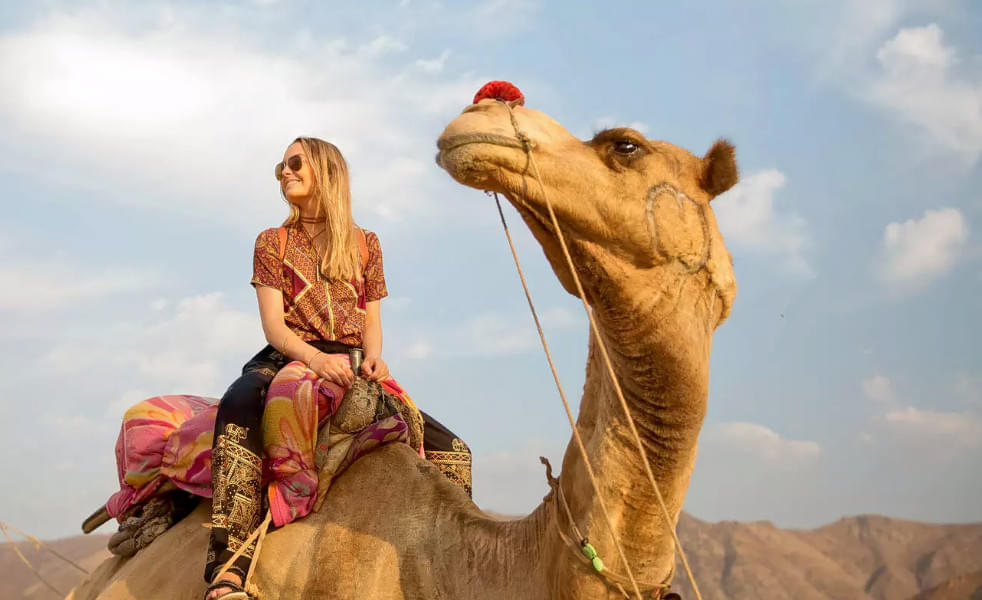 Camping With Camel Safari In Pushkar Image