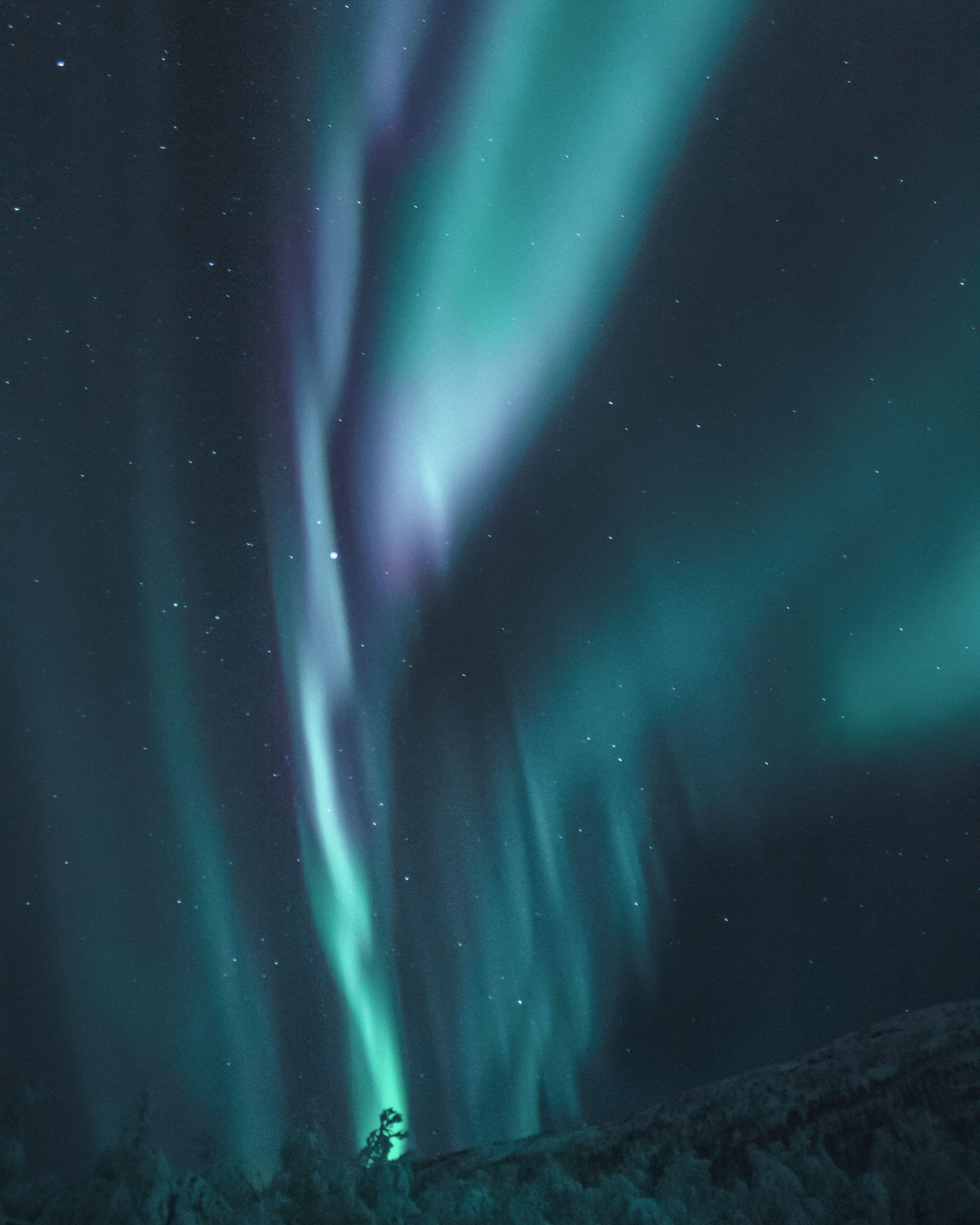 aurora