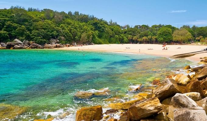 Shelly Beach Sydney Beaches