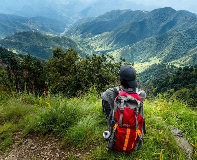 Embark on a 6-km trek to Binog Hill, located in the Mussoorie Wildlife Sanctuary