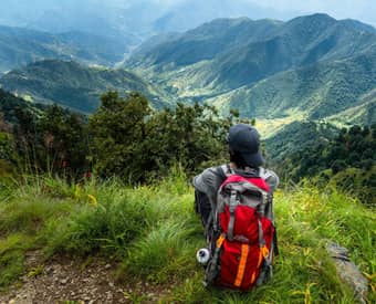Embark on a 6-km trek to Binog Hill, located in the Mussoorie Wildlife Sanctuary