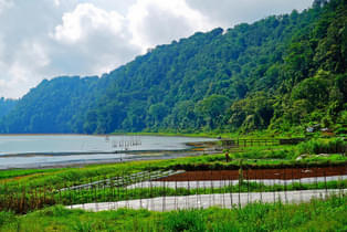 44giqjq3tr7sj6xu2m12eclytvxz kintamani organic farm shutterstock 642463096