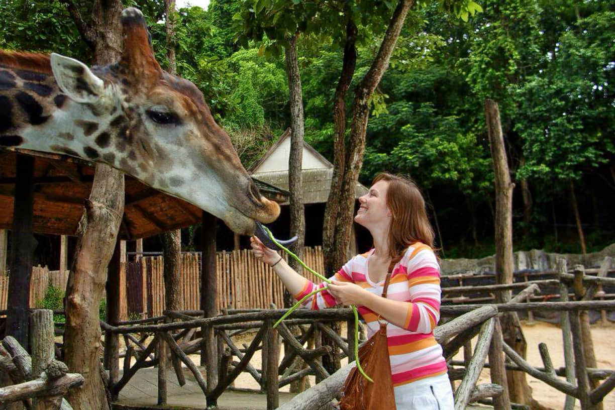 Chiang Mai Zoo, <em>Chiang Mai</em>
