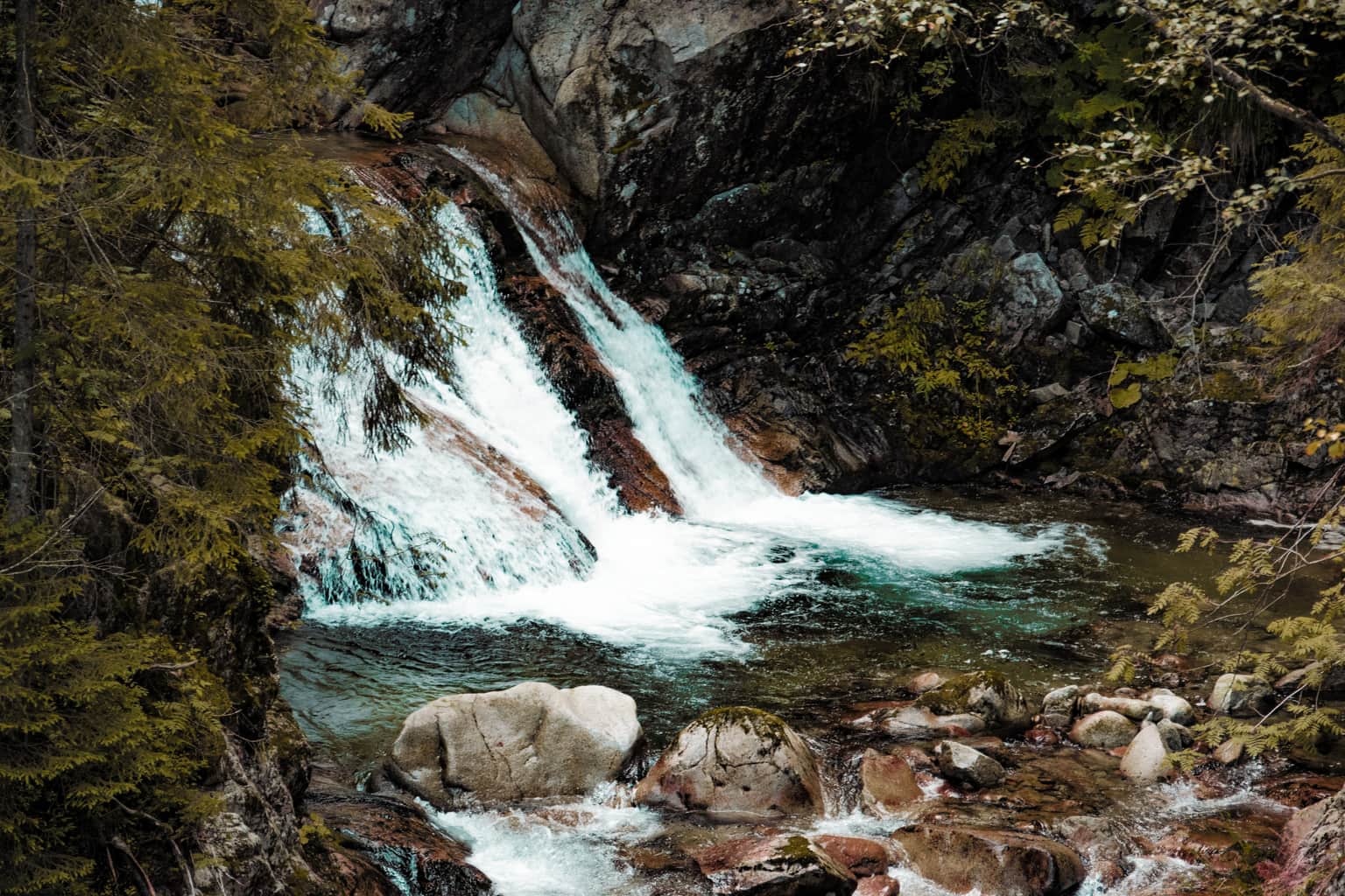 Cedar Creek Falls Gold Coast, <em>Gold Coast</em>