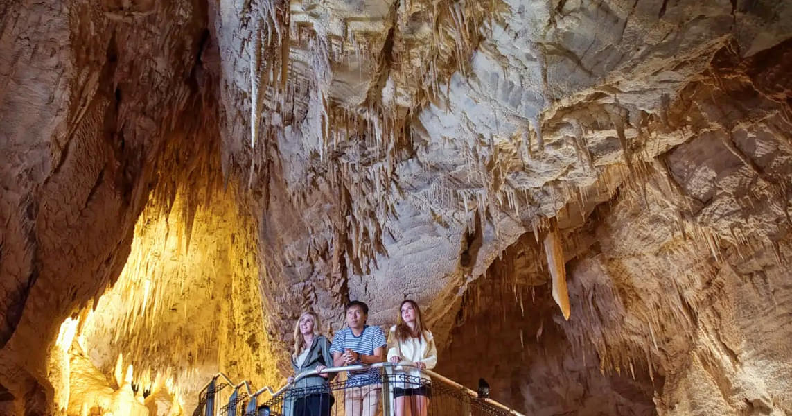 Ruakuri Cave Tour Image