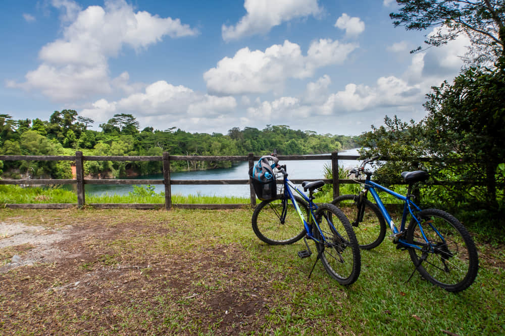 Take a Bike Tour