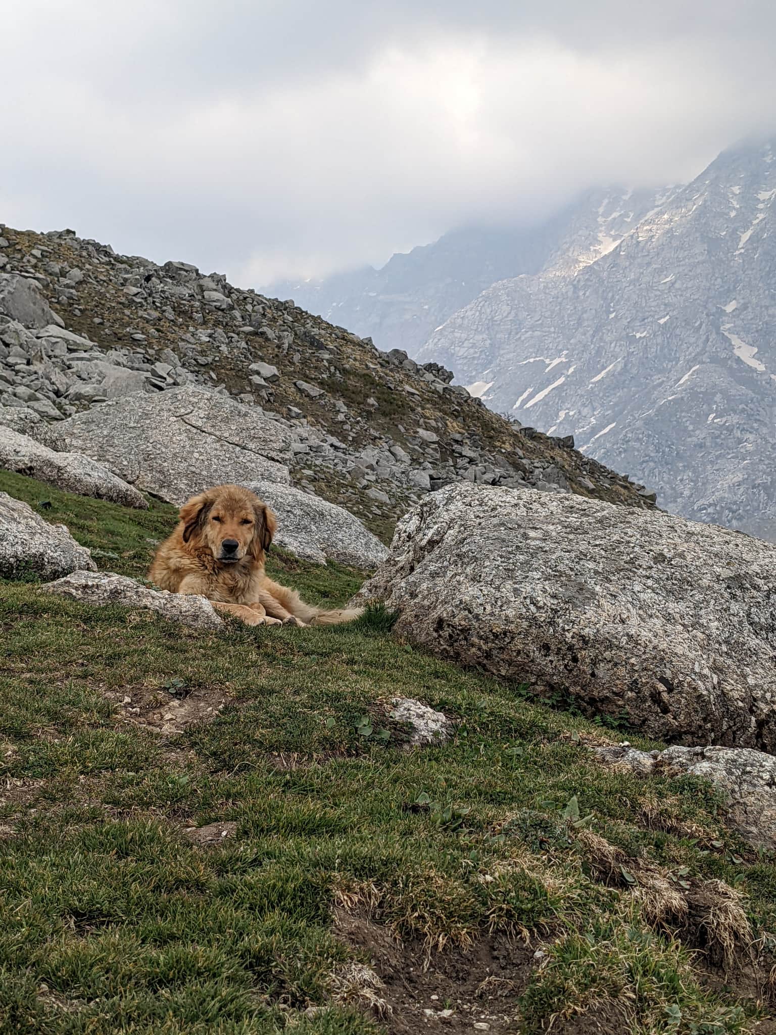 Photo from Rishikesh Mallela's trip