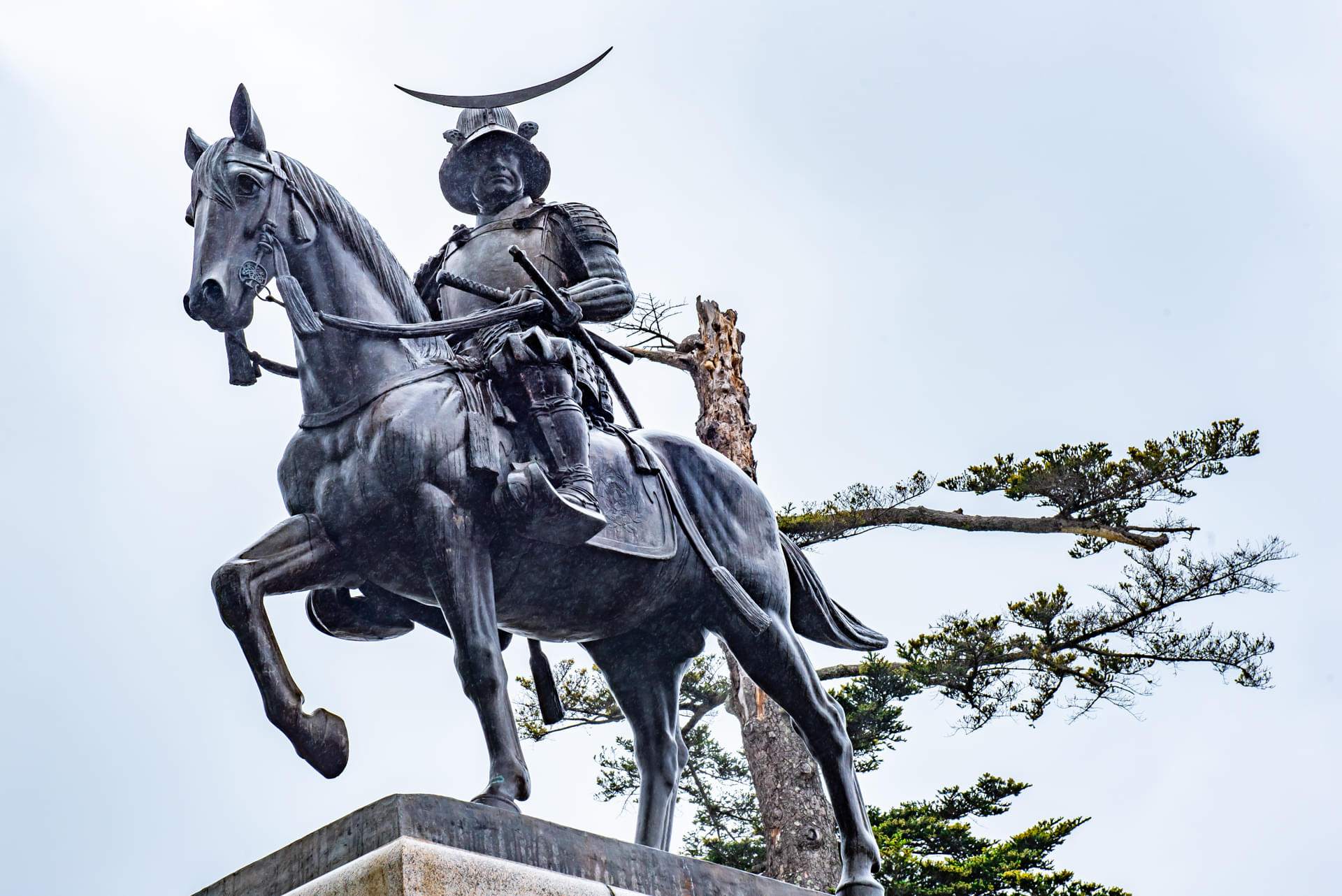 Aobayama Park Overview