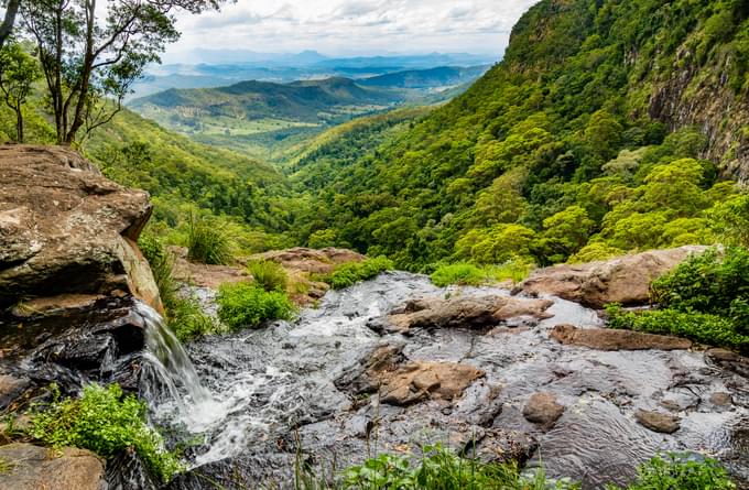 Lamington National Park Tour