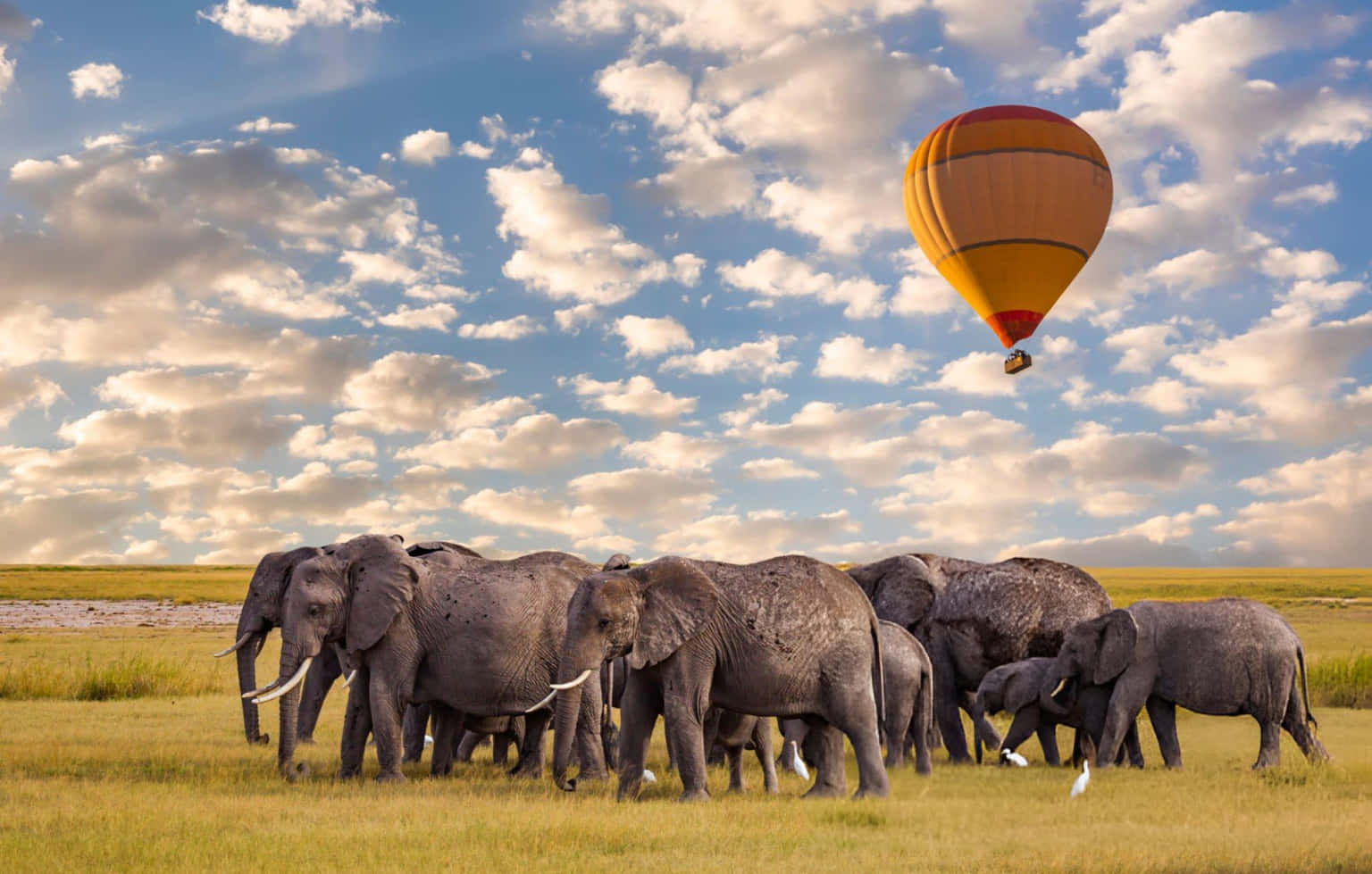 Highlights of Kenya & Tanzania | Journey Across East Africa
