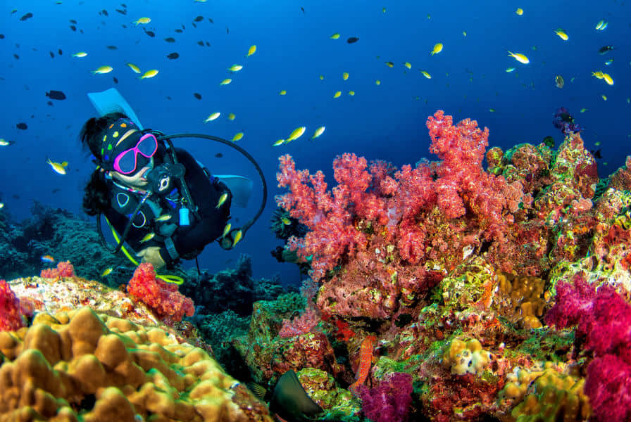 Manta Point, <em>Bali</em>