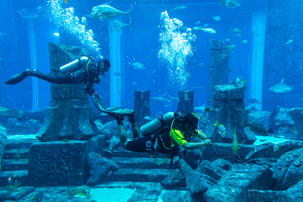 Discover Dubai’s Underwater World