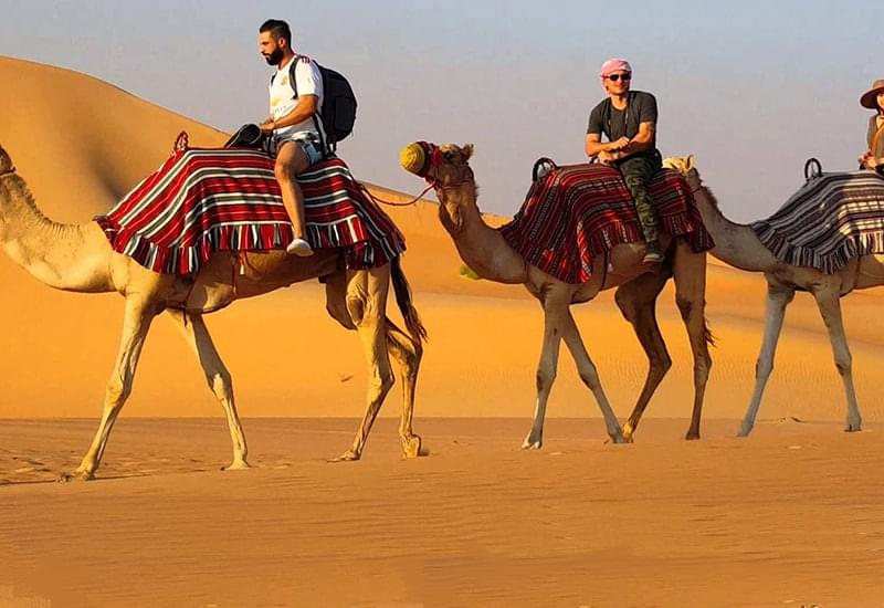 Experience the beauty of Arabian desert on camel ride in dubai