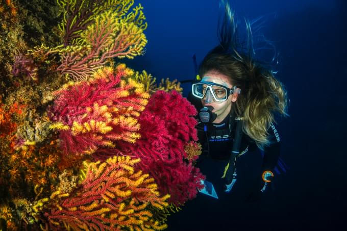 PADI Discover Scuba Diving at Palm Jumeirah Dubai