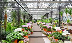 499za1a1bqh38pdfwuwts5otfma5 1597347266 222