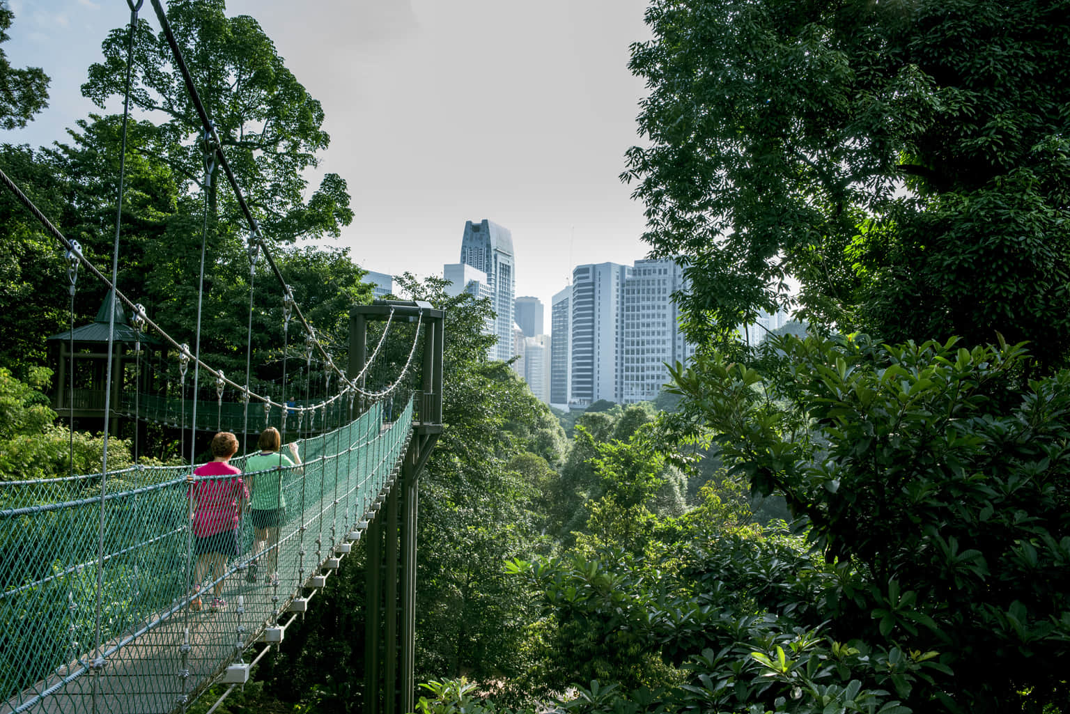 Canopy Walk