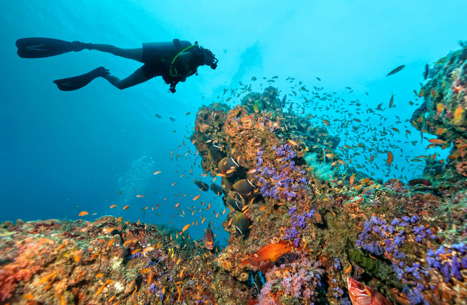 Scuba Diving in Male Maldives Image