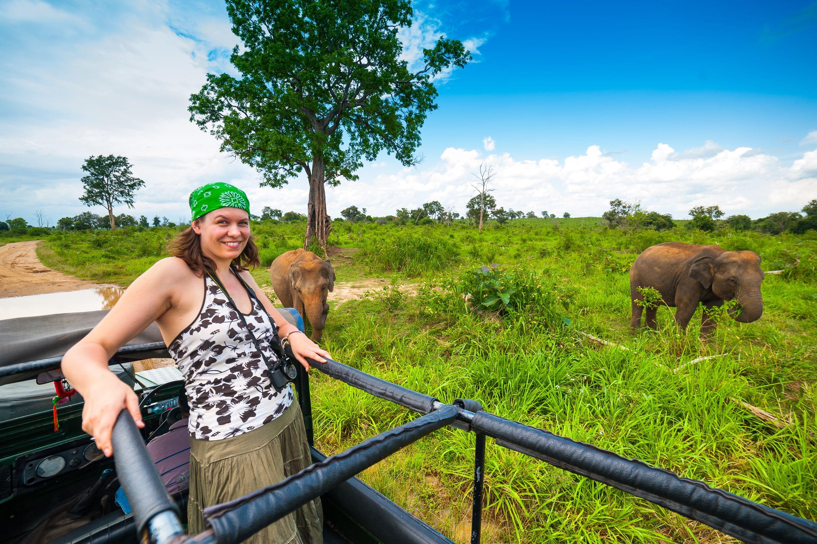 elephant safari park