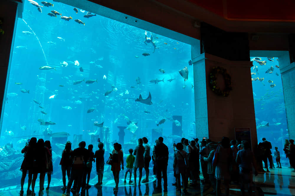 The Lost Chamber Aquarium, <em>Dubai</em>