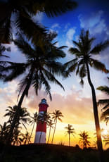 49u2bf8ptba61bt58lkda6jojwqv shutterstock 169853312