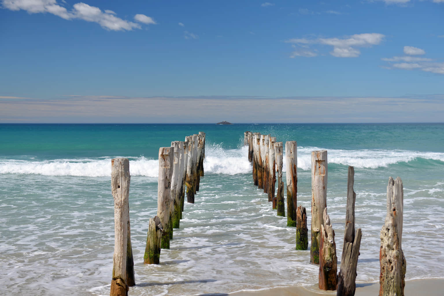 Saint Clair Beach, <em>Dunedin</em>