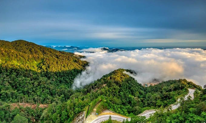 Lush Green Forests View From Genting Cable Car