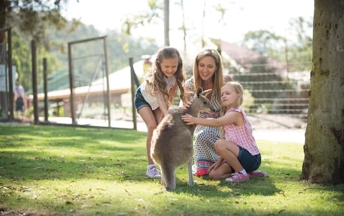 Wildlife Photo Centre