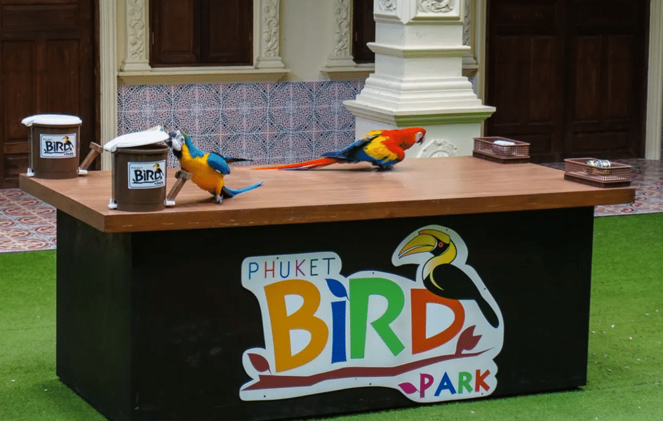 Phuket Bird Park Tickets Image