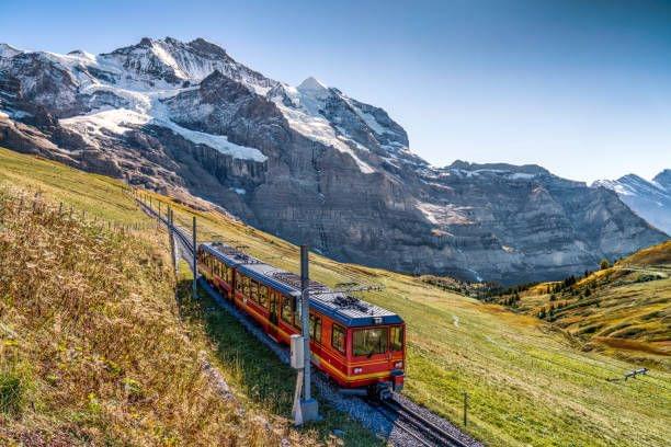 Enjoy the Breathtaking View along the Train Ride