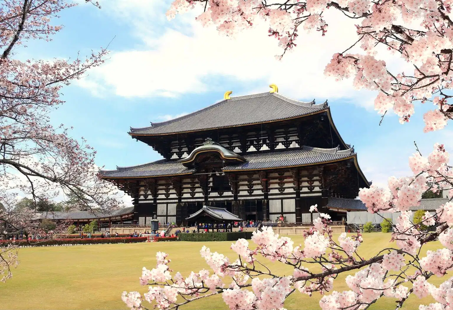 Explore Japan | Journey to the Cultural Treasure Trove