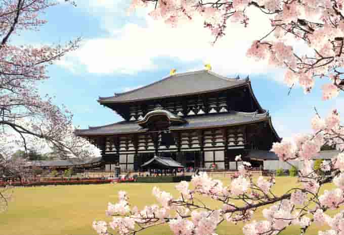 Beauty of the Todai-ji Temple