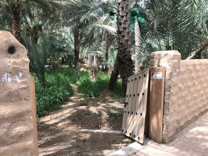 Al Ain Oasis